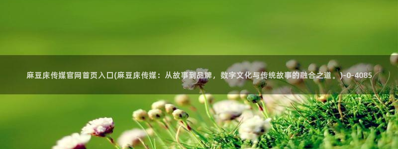 麻豆视频 官方推荐：麻豆床传媒官网首页入口(麻豆床传