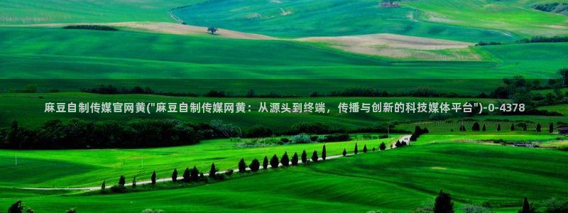 麻豆 入口整理：麻豆自制传媒官网黄(\