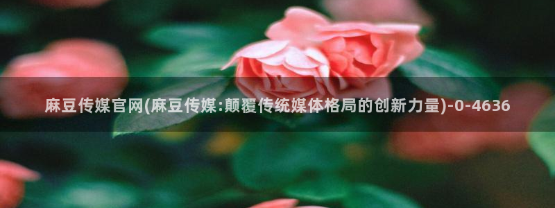 麻豆合集合集：麻豆传媒官网(麻豆传媒:颠覆传统媒体格