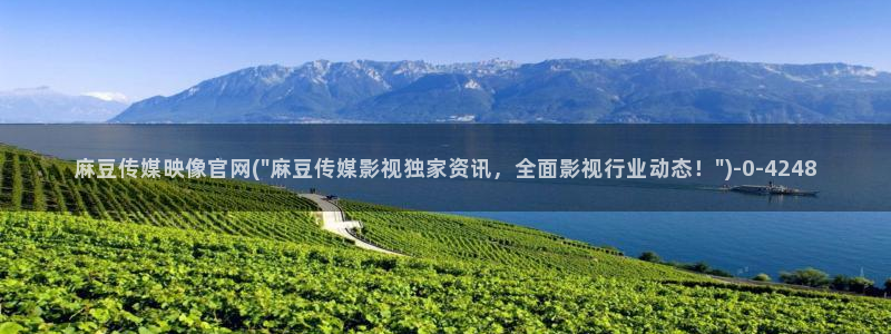 麻豆视频 入口完整版：麻豆传媒映像官网(\