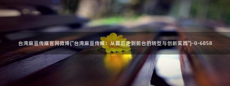 麻豆高清整理：台湾麻豆传媒官网微博(\