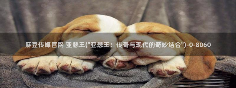 麻豆视频精选更新：麻豆传媒官网 亚瑟王(\