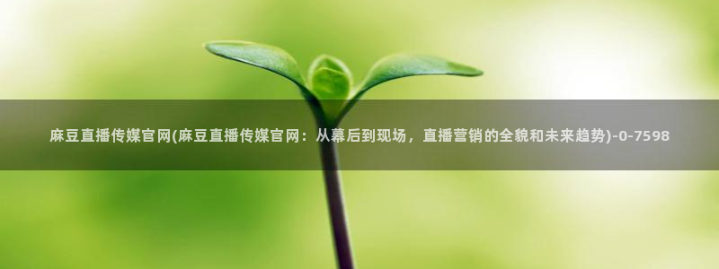 麻豆视频短片专区