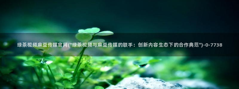 麻豆视频图集导航