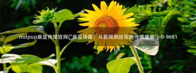 麻豆视频资源页面：mdpup麻豆传媒官网(\
