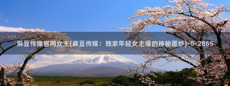 麻豆视频 热门完整版