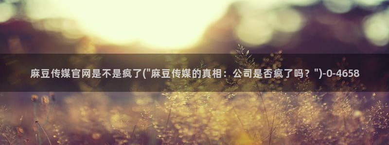 麻豆视频 在线看完整版