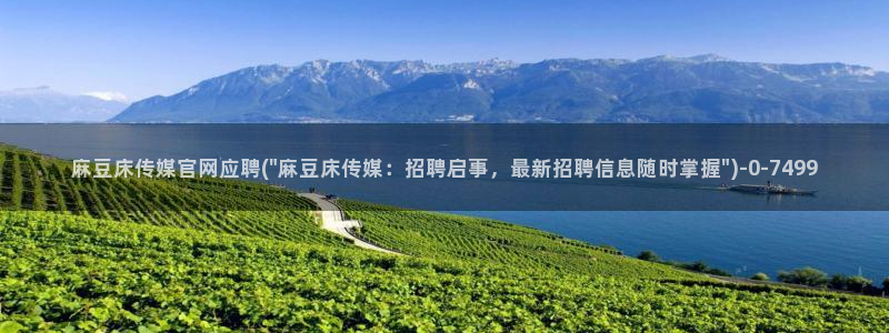 麻豆视频短片视频