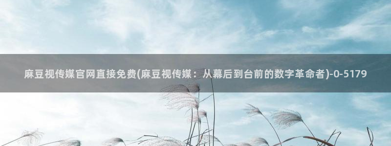 麻豆 最新整理