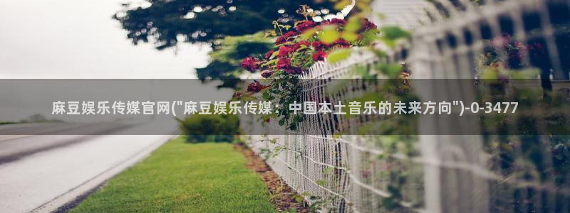 麻豆资源资源