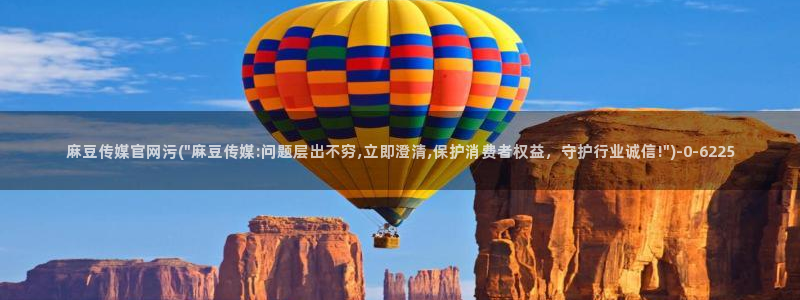 麻豆视频页面