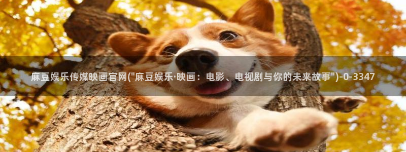 麻豆在线看下载