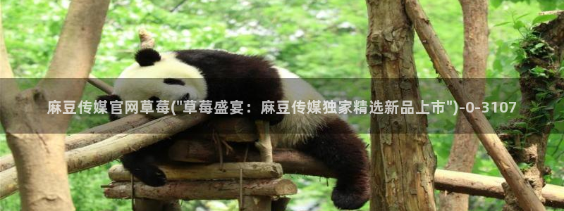 麻豆视频 下载最新：麻豆传媒官网草莓(\
