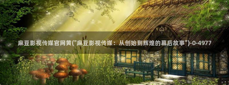 麻豆精选
