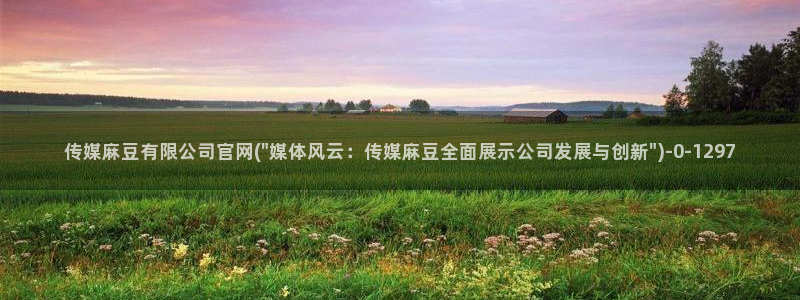麻豆视频图集资源：传媒麻豆有限公司官网(\