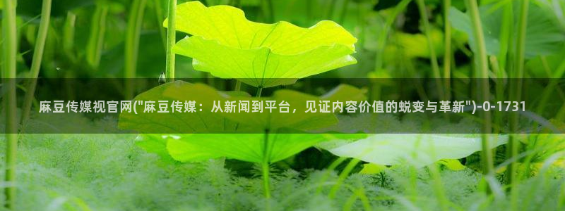 麻豆视频 更新整理