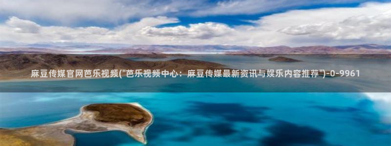 麻豆视频 最新入口