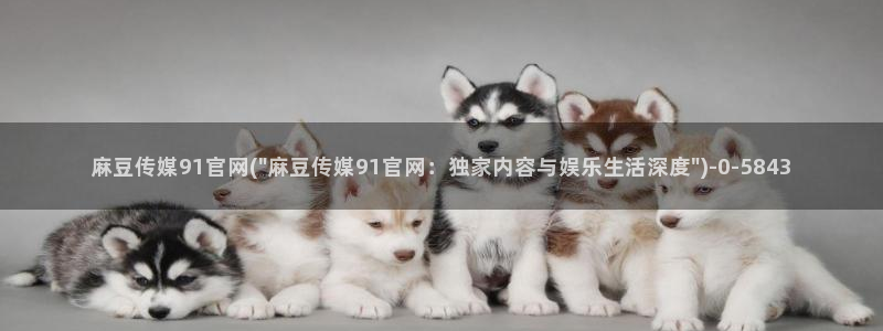 麻豆视频 官方