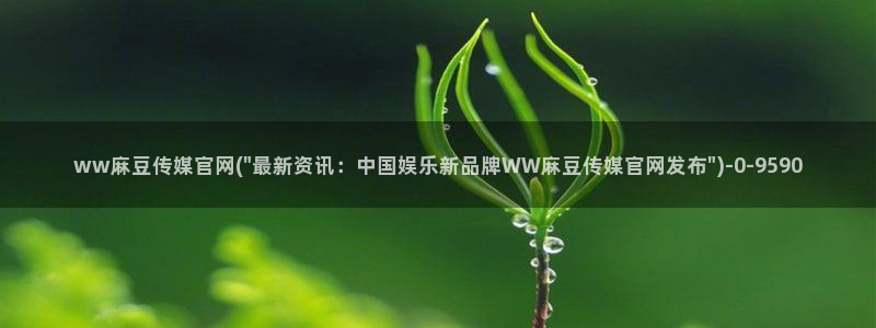 麻豆 在线看导航