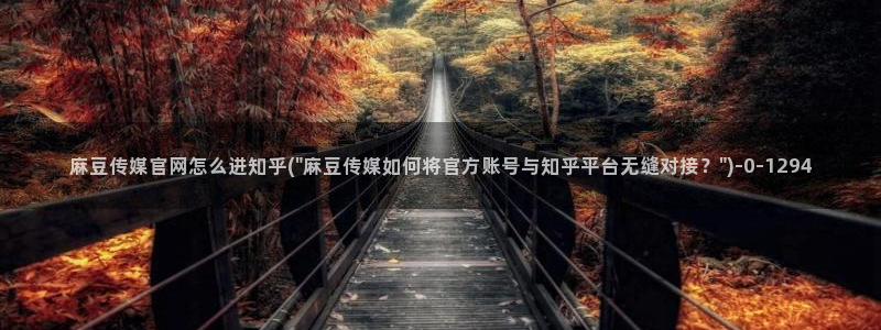 麻豆视频 在线看推荐