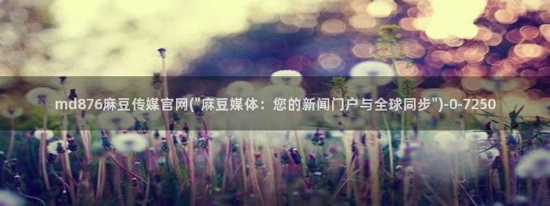 麻豆 推荐