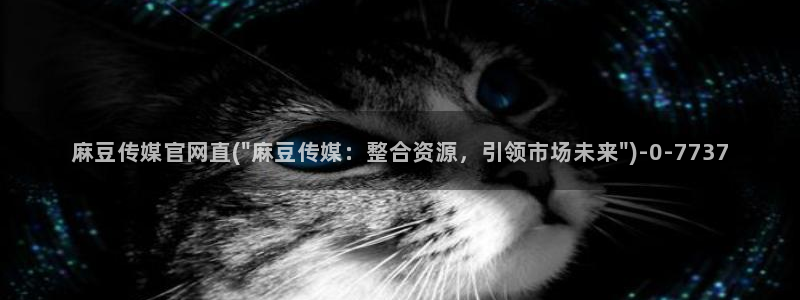 麻豆视频 推荐合集：麻豆传媒官网直(\