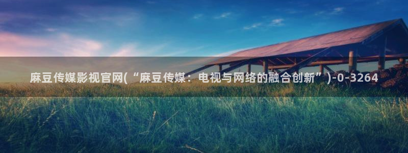 麻豆 更新入口